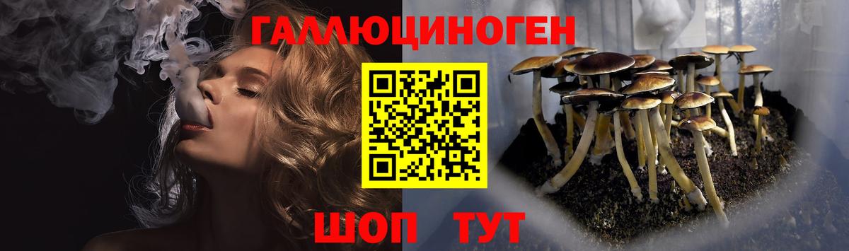 Галлюциногенные грибы мицелий  Галлюциногенные грибы Psilocybe  купить закладку  Вход с VPN  Екатеринбург 